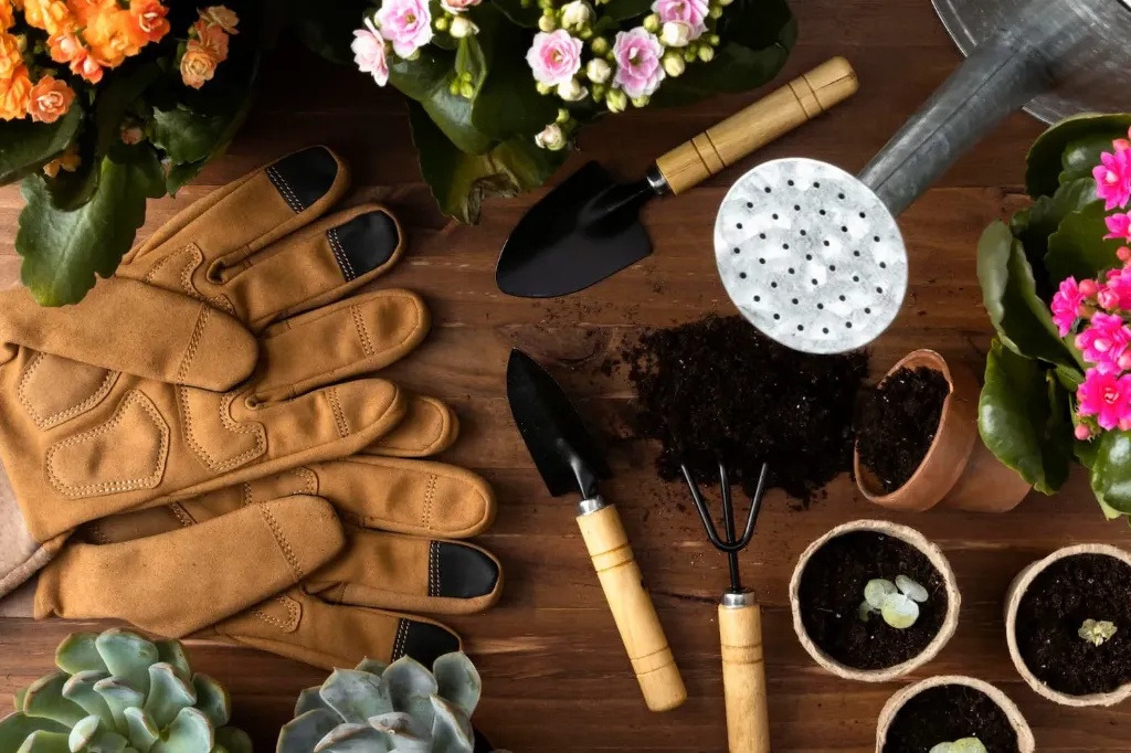 frame-tools-gardening(1).webp